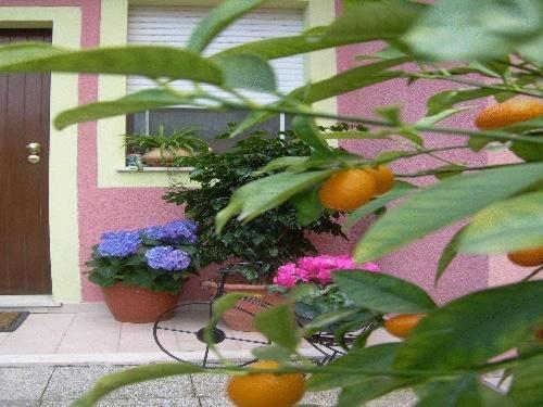 Ariedo Bed And Breakfast Capoterra Exterior foto