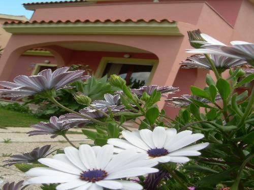 Ariedo Bed And Breakfast Capoterra Zimmer foto
